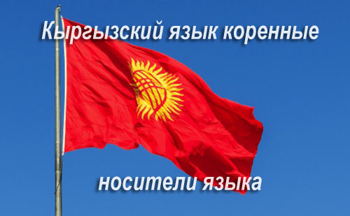 Кыргызский флаг