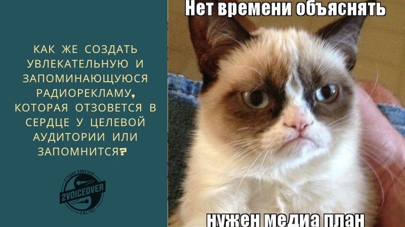 Мем с грустным котом: нужен медиа план